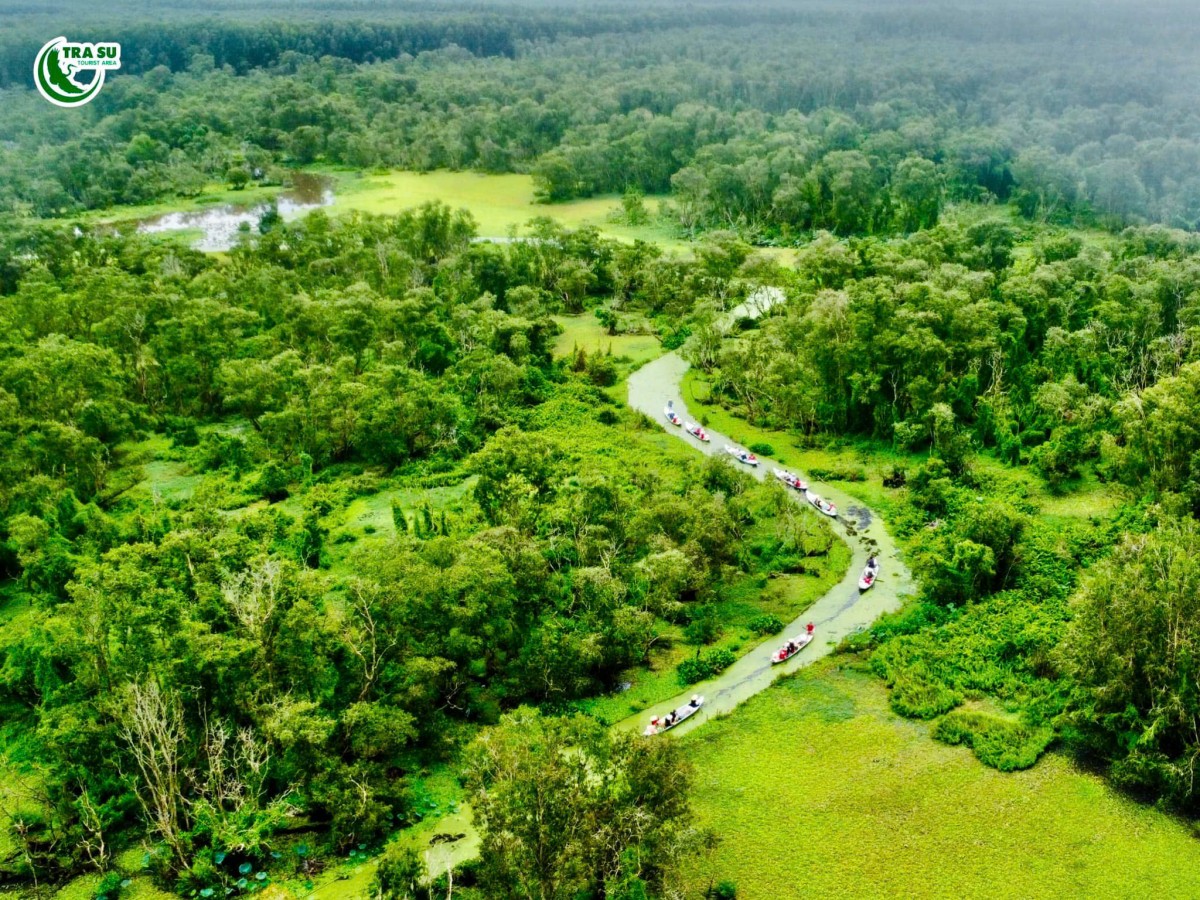 Trà Sư xanh mùa nước nổi miền Tây.