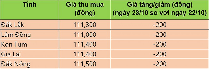 Giá cà phê hôm nay 23/10/2024: