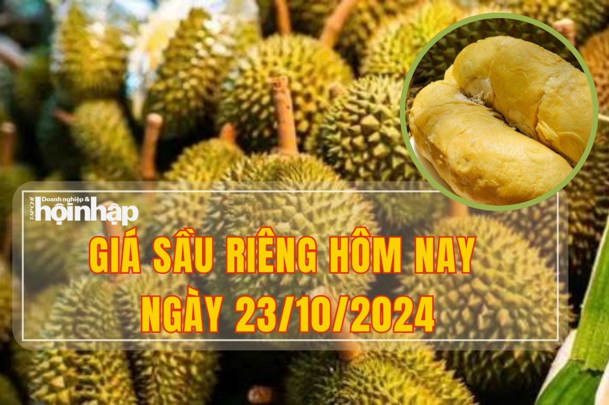 Giá sầu riêng hôm nay 23/10: Sầu riêng Thái đẹp ở Tây Nguyên và miền Tây giá tăng vọt