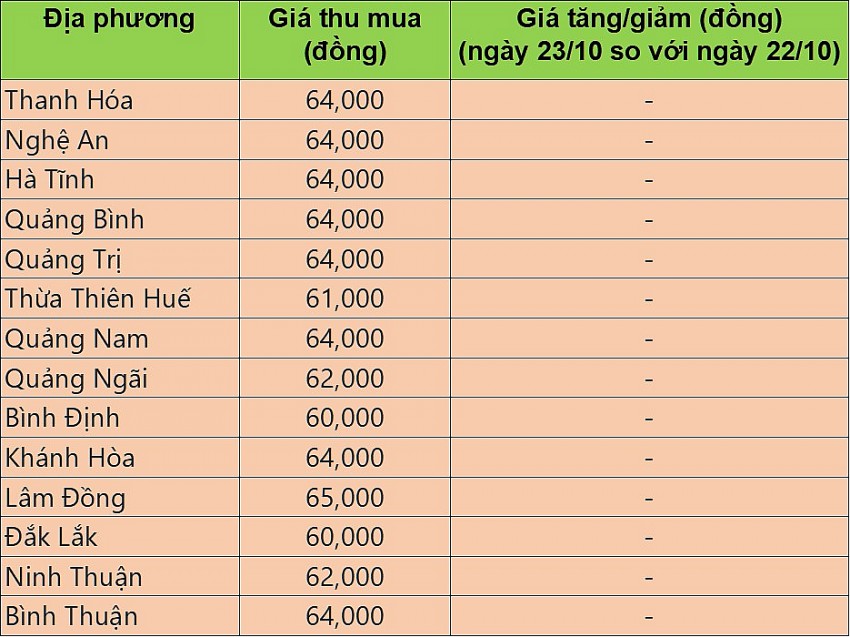 Giá heo hơi hôm nay 23/10/2024: Giá heo hơi không biến động