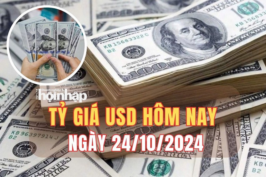 Tỷ giá USD hôm nay 24/20/2024: