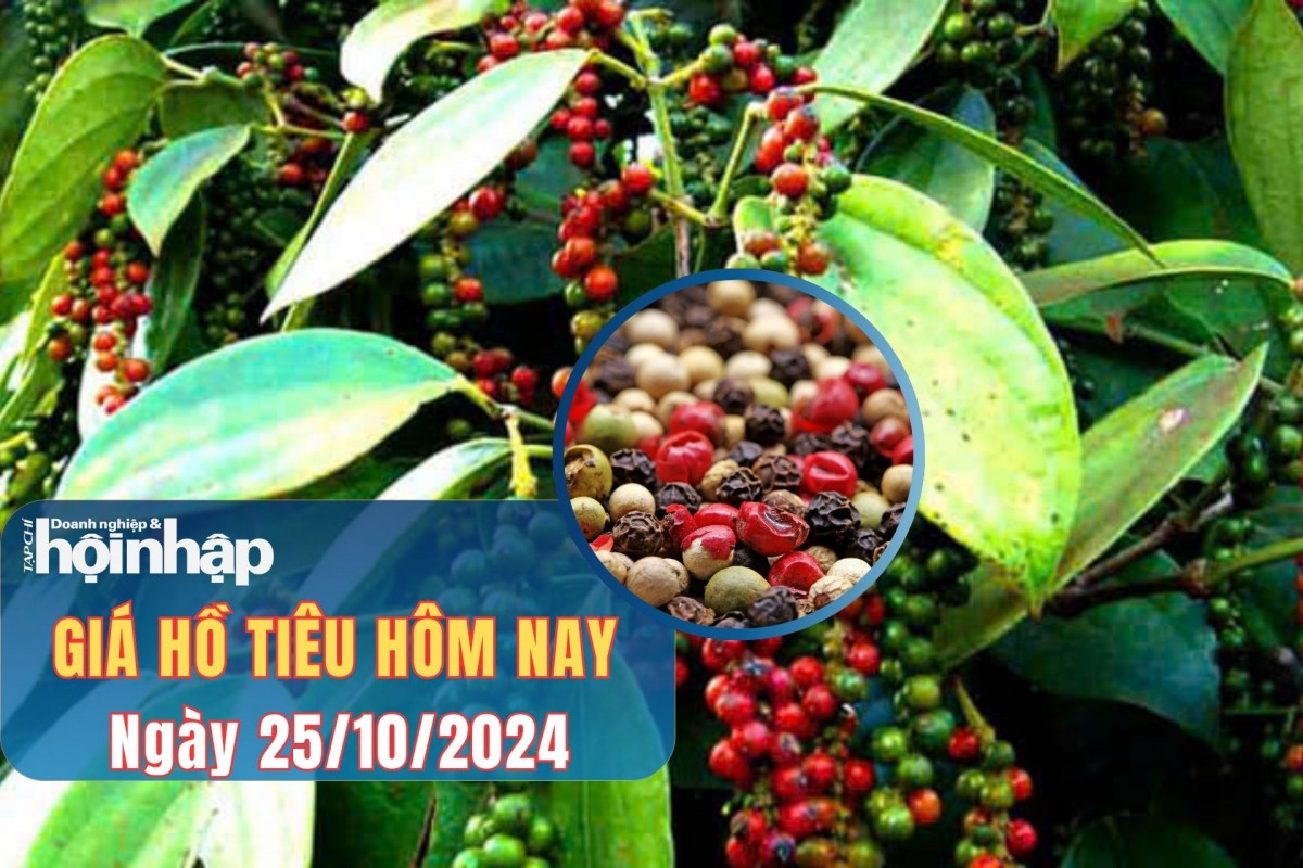 Giá tiêu hôm nay 25/10: Giá tiêu trong nước tiếp đà tăng, tiêu thế giới biến động