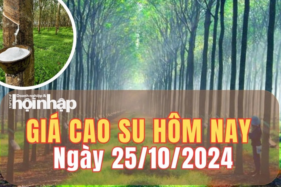 Giá cao su hôm nay 25/10/2024: Giá cao su trên Sàn Tocom giảm 0,97%, ở mức 400 yen/kg