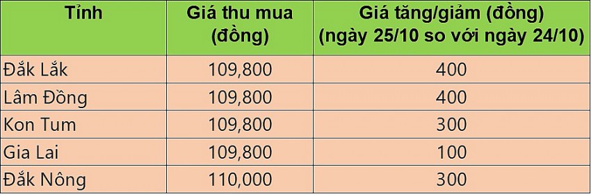 Giá cà phê hôm nay 25/10/2024: