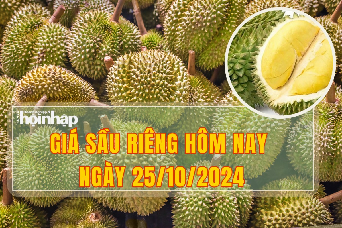 Giá sầu riêng hôm nay 25/10/2024.