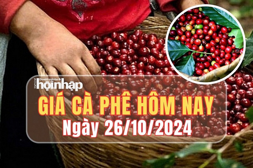 Giá cà phê hôm nay 26/10/2024: