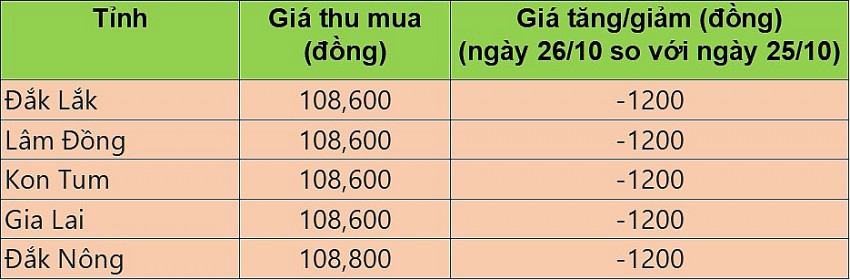 Giá cà phê hôm nay 26/10/2024: