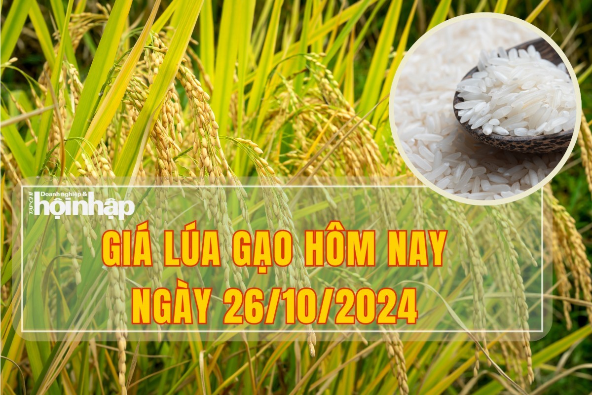 Giá lúa gạo hôm nay 26/10: Không có nhiều biến động