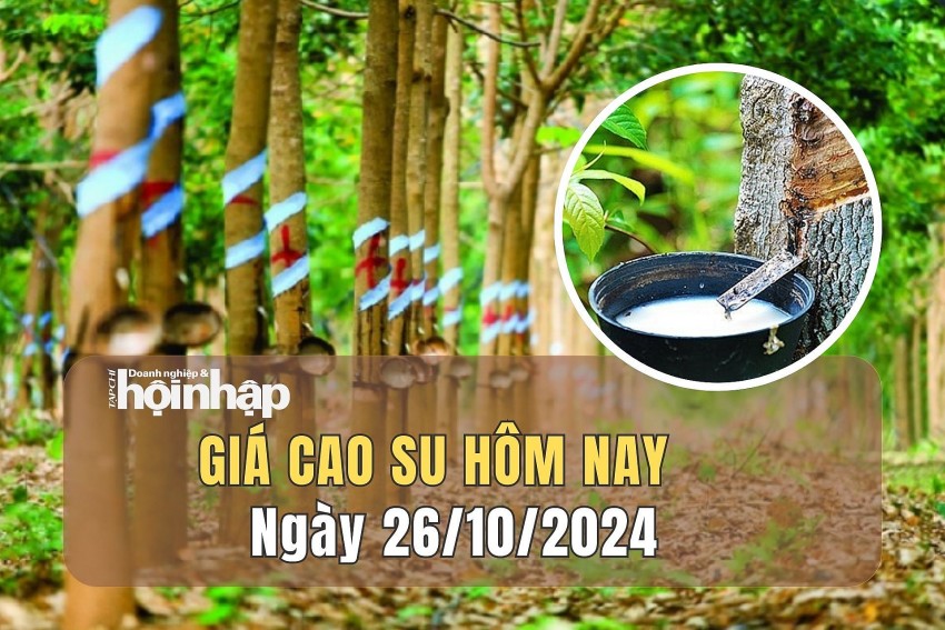 Giá cao su hôm nay 26/10/2024: Giá cao su trên Sàn Tocom giảm 0,41%, hiện ở mức 390.60 yen/kg