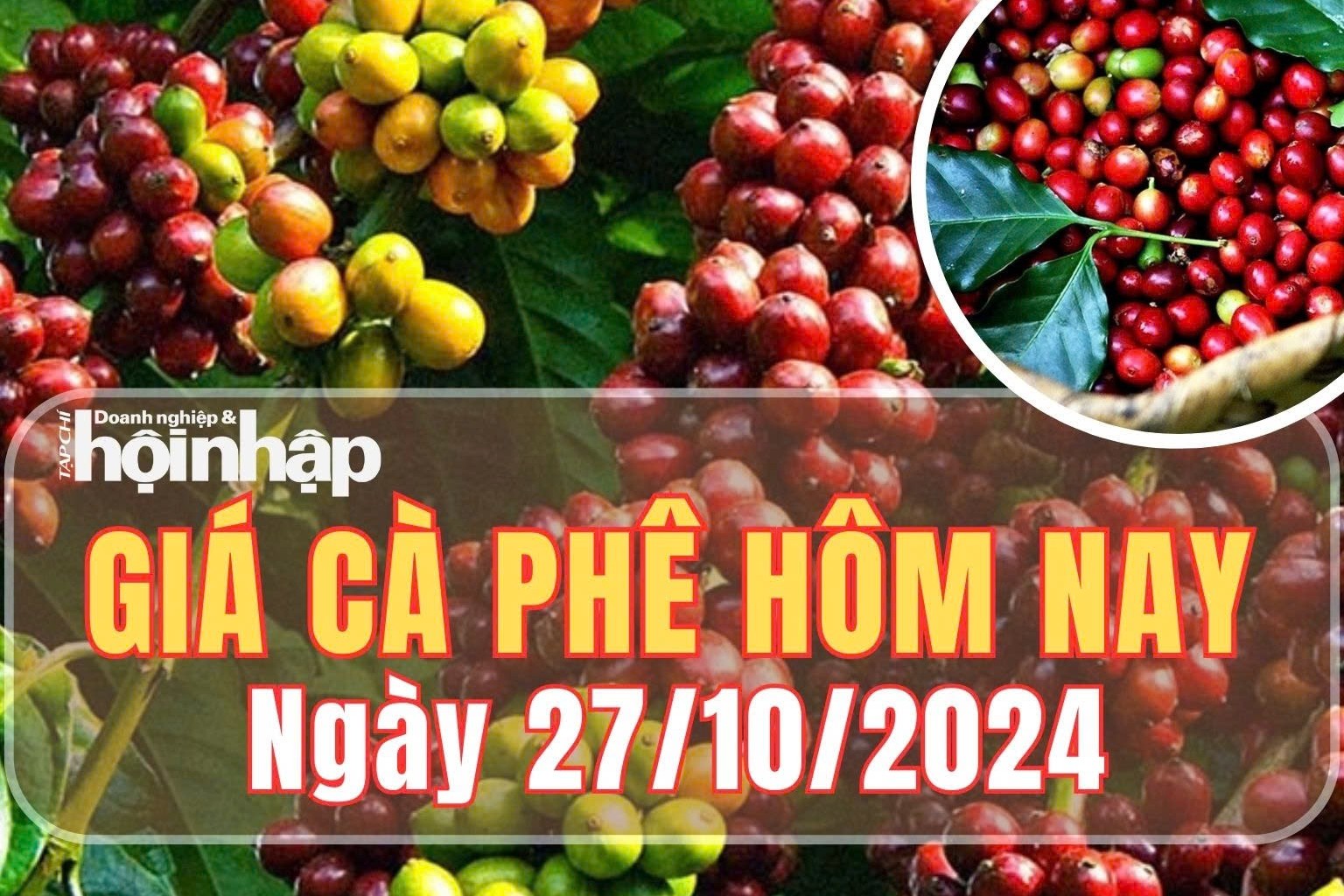 Giá cà phê hôm nay 27/10/2024: Cà phê trong nước và thế giới tăng