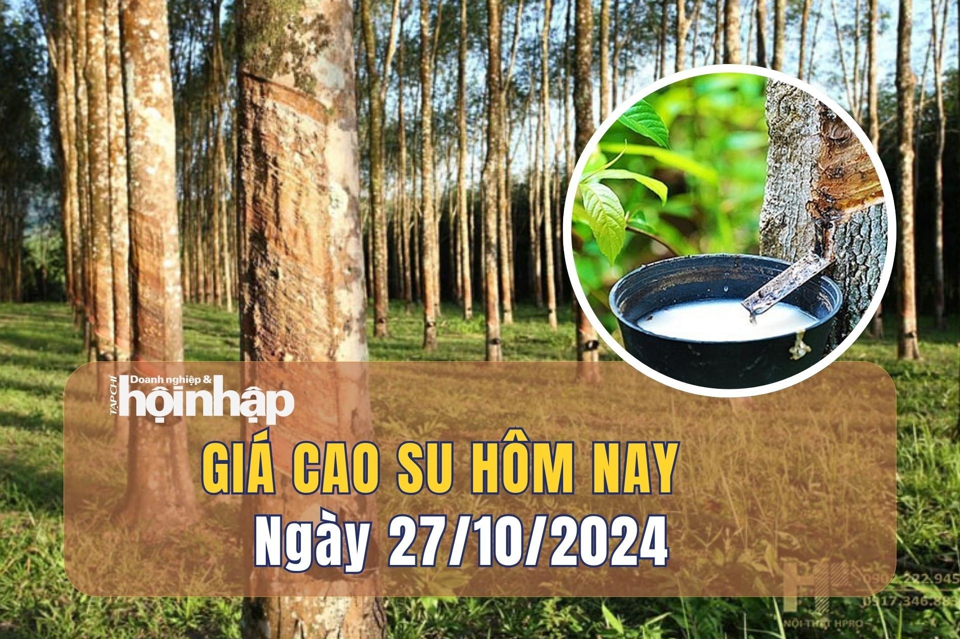 Giá cao su hôm nay 27/10: Giá đồng loạt tăng trở lại trên các sàn giao dịch