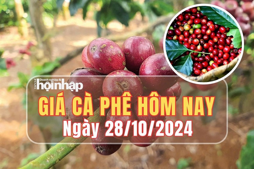 Giá cà phê hôm nay 28/10/2024: