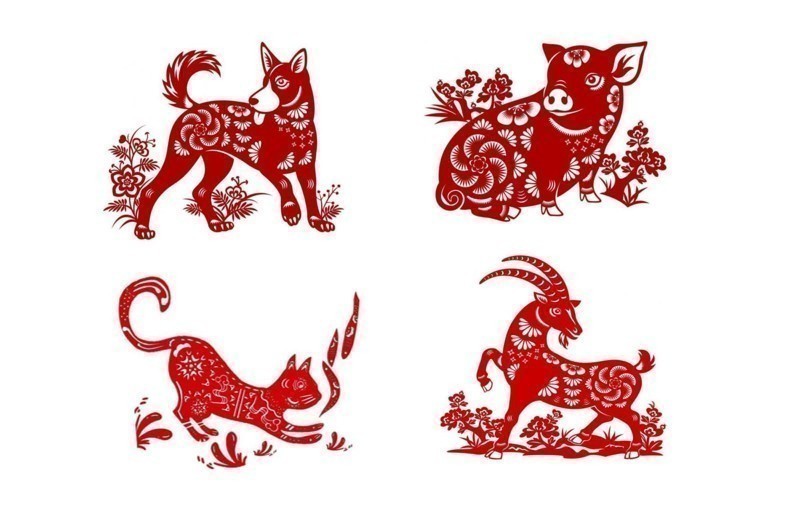 Tử vi - Vận số ngày 30/10/2024: Tuất, Hợi, Mão, Mùi có  tin vui về tiền bạc và tài lộc sự nghiệp thuận lợi, gặp may mắn Tử vi - Vận số ngày 30/10/2024: Tuất, Hợi, Mão, Mùi có  tin vui về tiền bạc và tài lộc sự nghiệp thuận lợi, gặp may mắn