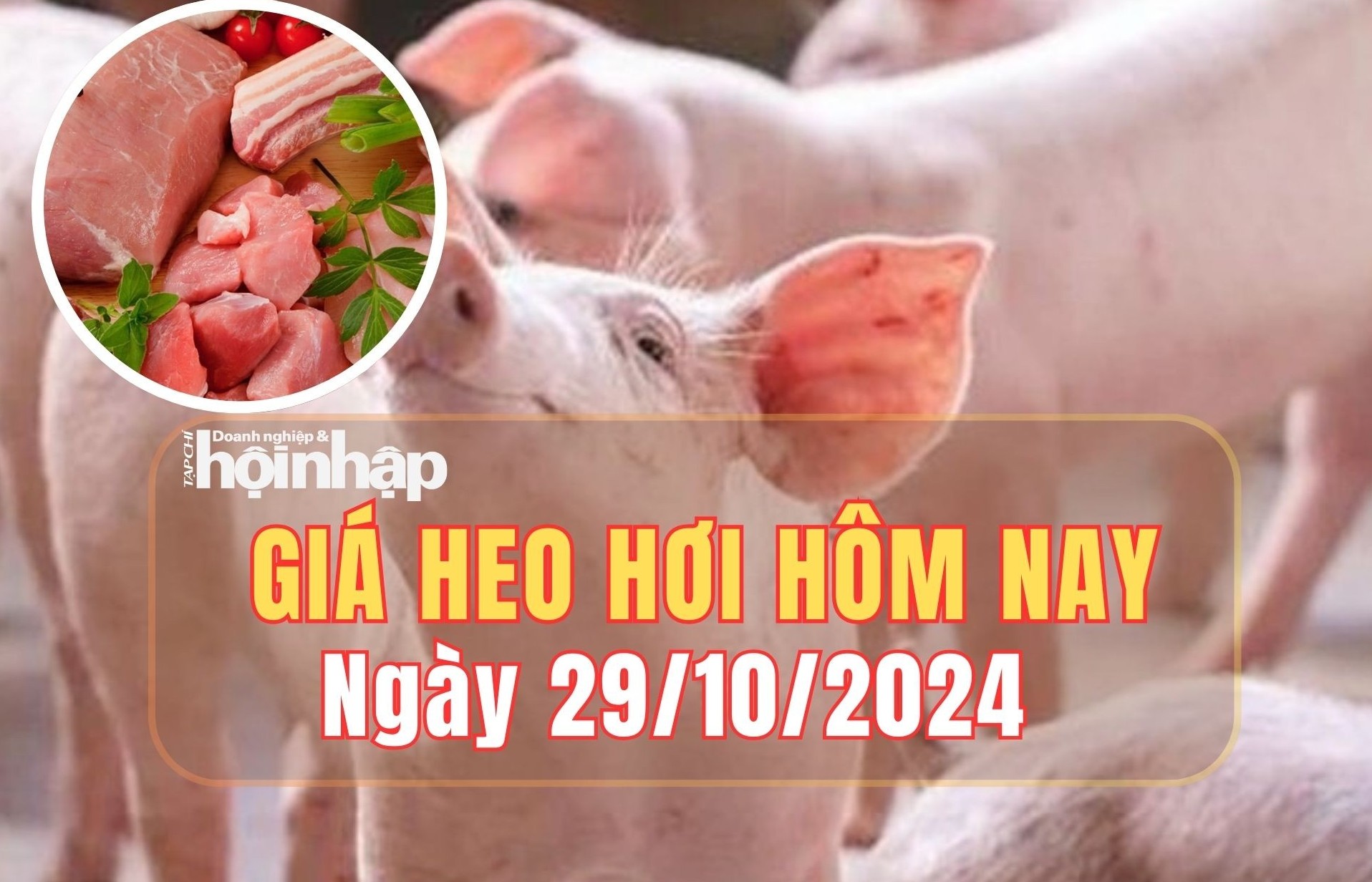 Giá heo hơi hôm nay 29/10: Một số tỉnh vẫn ở mức giá cao 63.000 đồng/kg