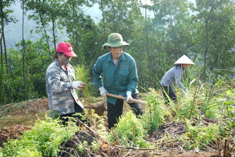 Yên Bái: Tăng cường hỗ trợ người dân, doanh nghiệp gặp khó khăn do ảnh hưởng của cơn bão số 3