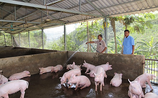 Yên Bái: Tăng cường hỗ trợ người dân, doanh nghiệp gặp khó khăn do ảnh hưởng của cơn bão số 3