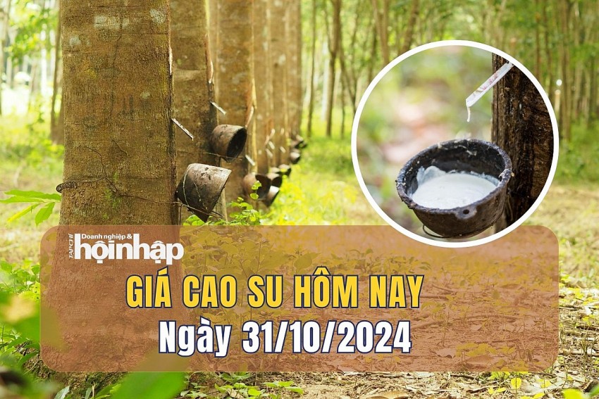 Giá cao su hôm nay 31/10: Giá cao su giảm xuống mức thấp nhất trong gần hai tháng