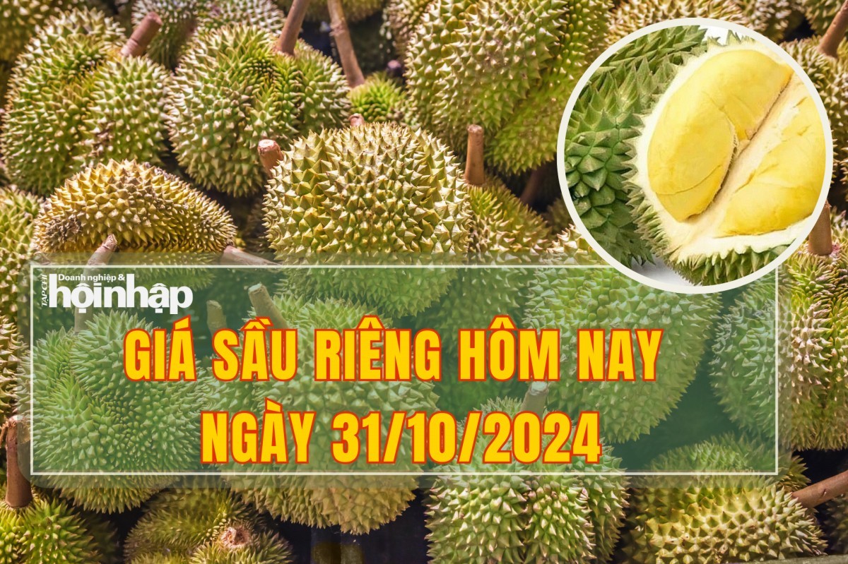 Giá sầu riêng hôm nay 31/10: Giá sầu riêng tăng mạnh lên đến 165.000 đồng/kg