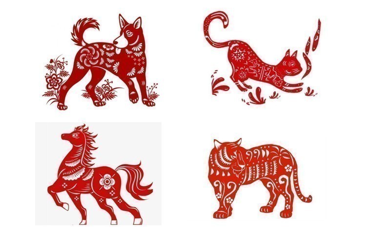 Tử vi - Vận số ngày 31/10/2024: Các tuổi Tuất, Mão, Dần, Ngọ cần phải cẩn trọng.