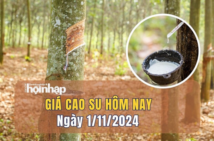 Giá cao su hôm nay 1/11: Thị trường kéo dài chuỗi ngày giảm giá