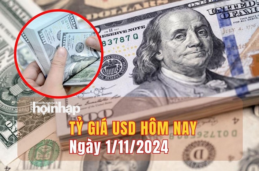 Tỷ giá USD hôm nay 1/11: Đồng USD trong nước giảm 3 đồng, ở mức 24.243 đồng