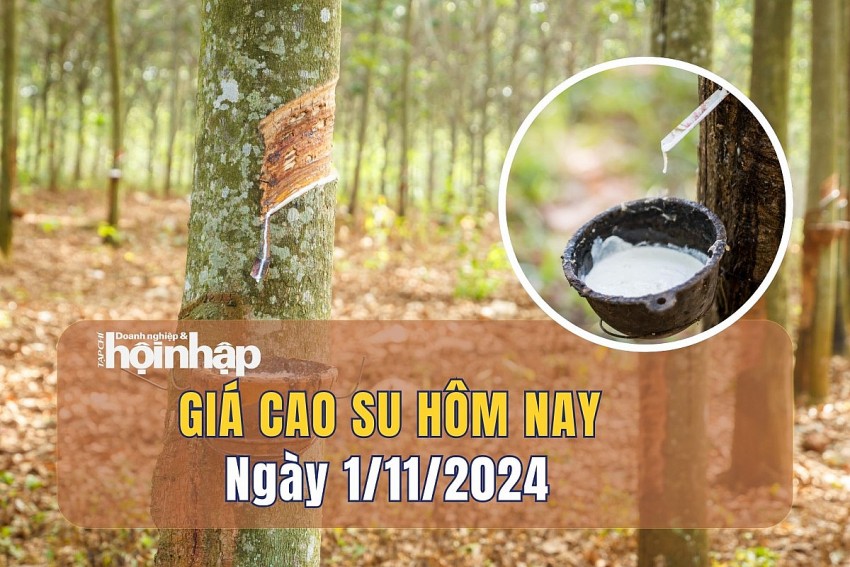 Giá cao su hôm nay 1/11: Thị trường kéo dài chuỗi ngày giảm giá