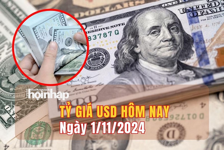 Tỷ giá USD hôm nay 1/11: Đồng USD trong nước giảm 3 đồng, ở mức 24.243 đồng