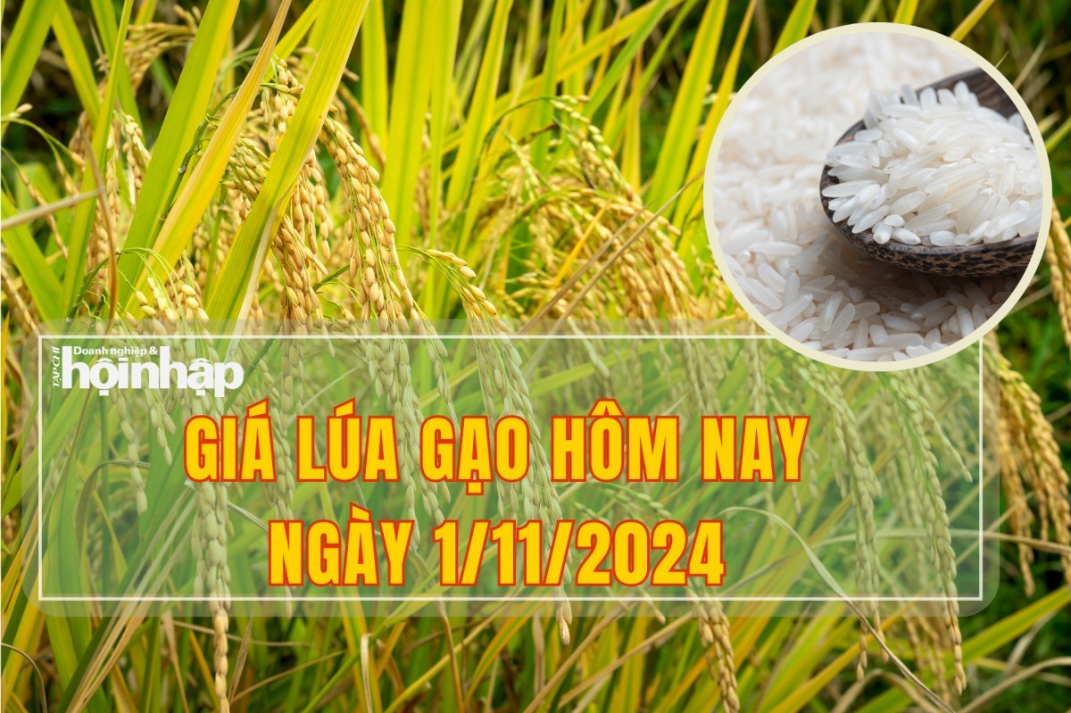 Giá lúa gạo hôm nay 1/11: Lúa tươi tăng nhẹ 100.000 đồng/kg, giá gạo xuất khẩu giảm