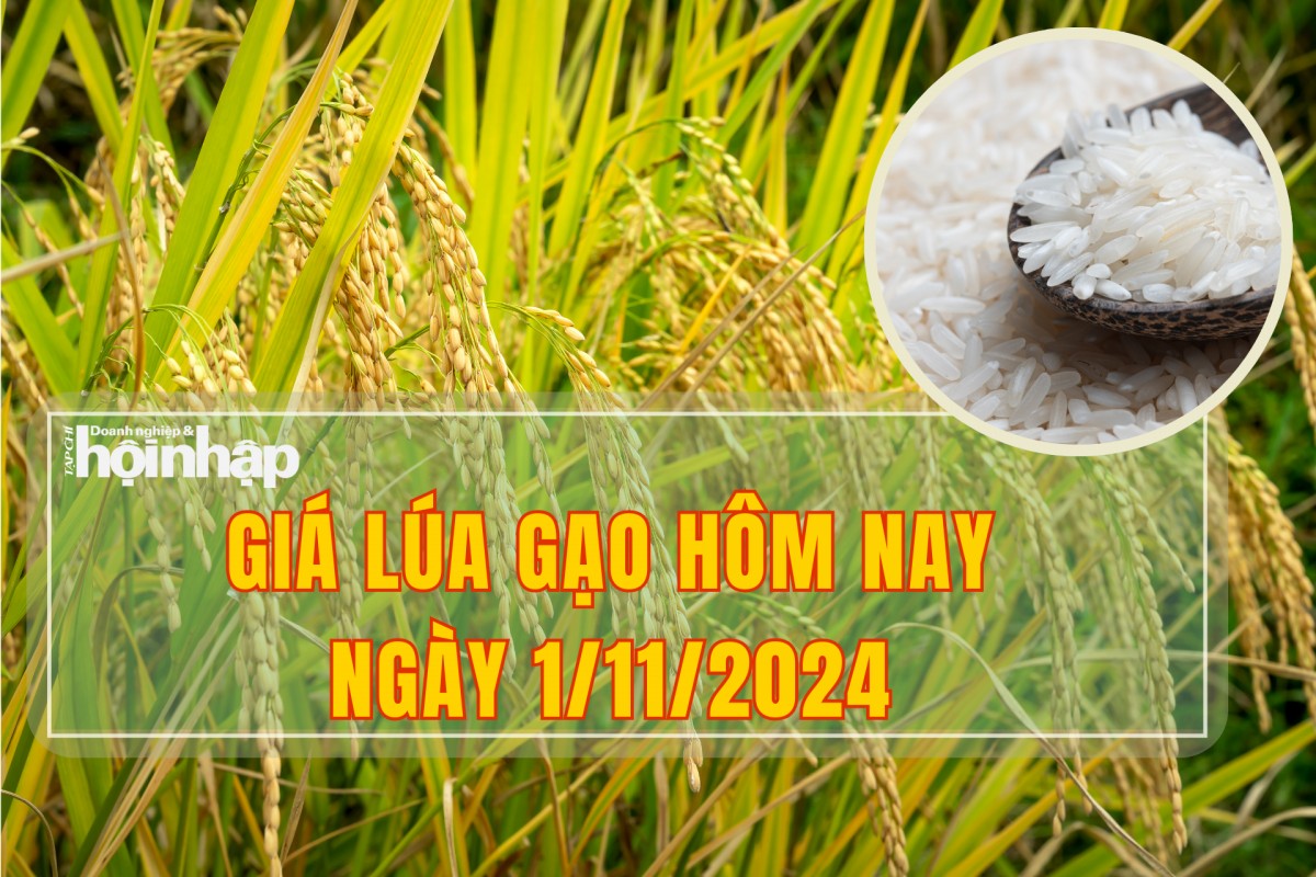 Giá lúa gạo hôm nay 1/11/2024: Lúa tươi tăng nhẹ 100.000 đồng/kg, giá gạo xuất khẩu giảm.