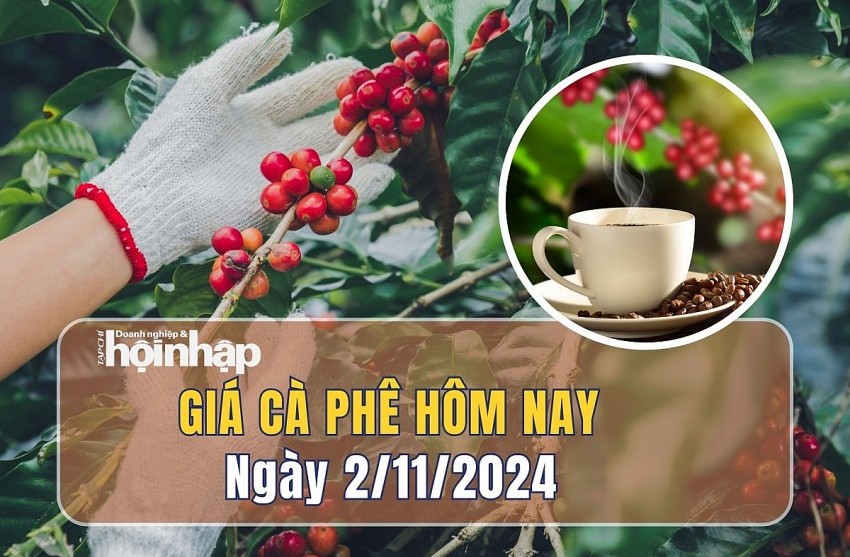 Giá cà phê hôm nay 2/11: Giá cà phê trong nước giảm mạnh 1.500 đồng/kg