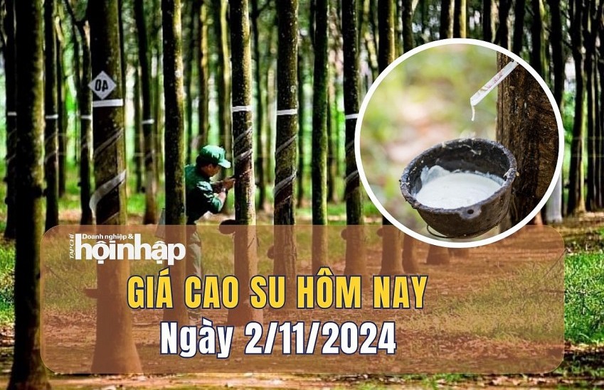 Giá cao su hôm nay 2/11: Giá cao su tiếp đà giảm trên các sàn giao dịch