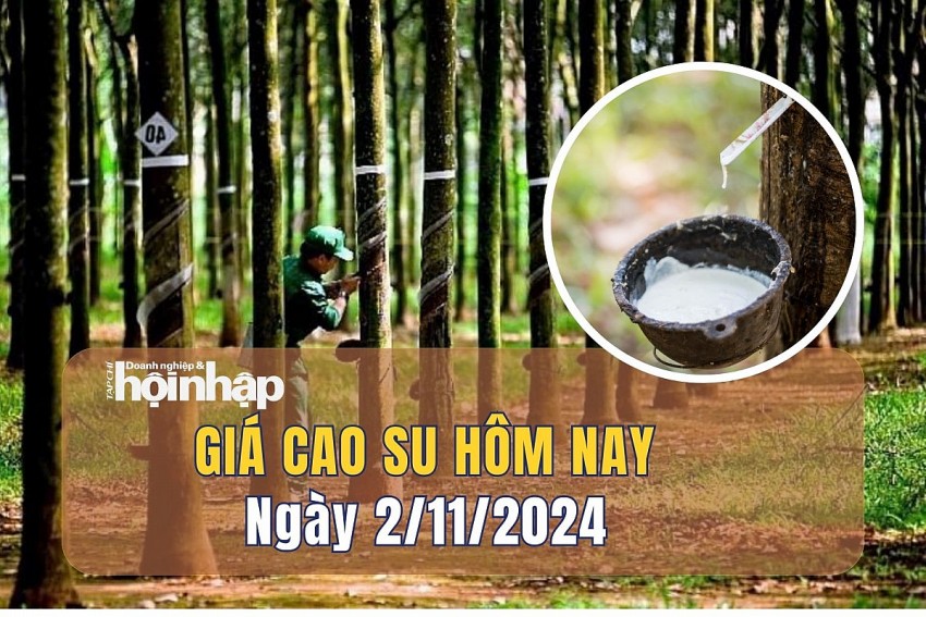 Giá cao su hôm nay 2/11: Giá cao su tiếp đà giảm trên các sàn giao dịch