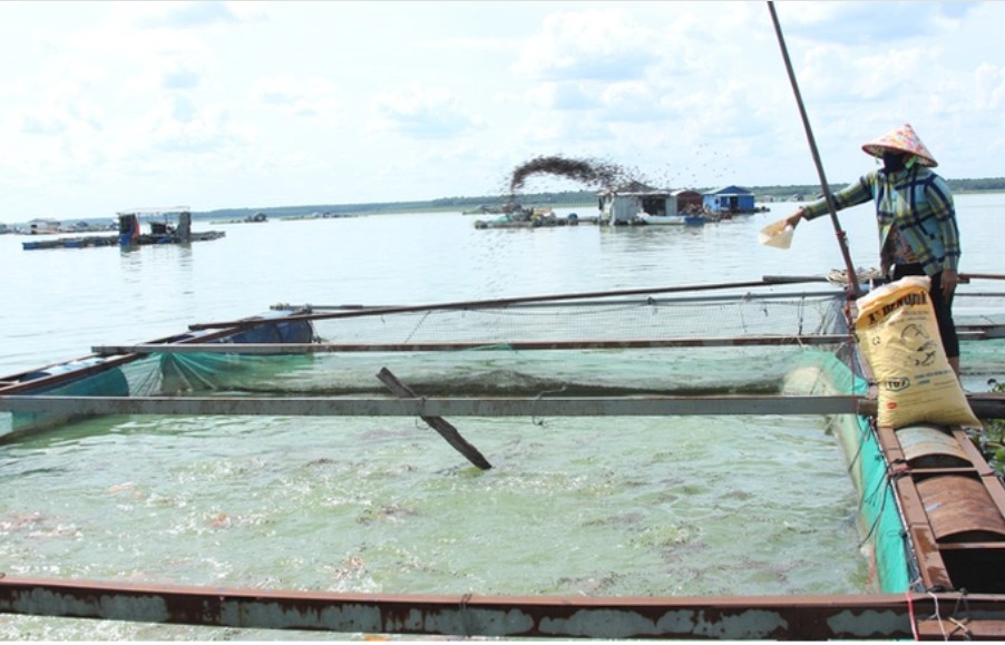 Tây Ninh: Nghiêm cấm khai thác thủy sản trên hồ Dầu Tiếng trong 30 ngày