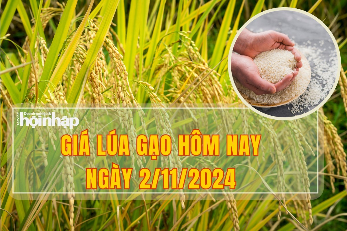 Giá lúa gạo hôm nay 2/11: Lúa tươi tiếp tục tăng nhẹ 100 đồng/kg