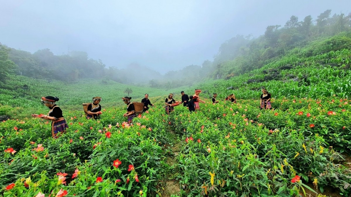 Thái Nguyên: Đẩy mạnh khai thác tiềm năng du lịch Đồng Hỷ