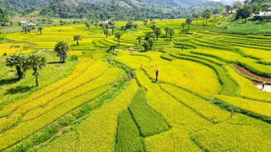 Thái Nguyên: Đẩy mạnh khai thác tiềm năng du lịch Đồng Hỷ