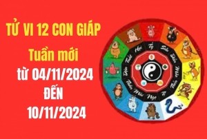 Tử vi tuần mới 04-10/11: 3 con giáp sẽ đón may mắn, nhiều tài lộc, thăng hoa vượt kỳ vọng