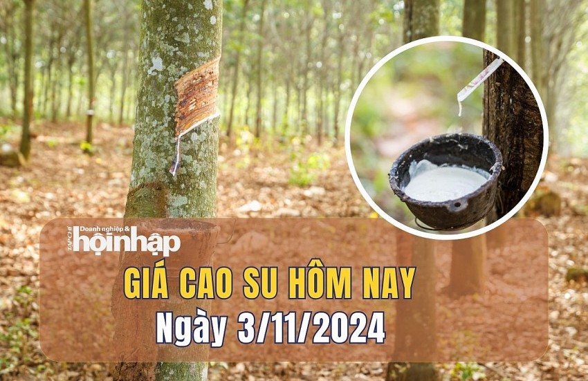 Giá cao su hôm nay 3/11: Giá cao su cuối tuần tiếp tục đi xuống trên các sàn giao dịch