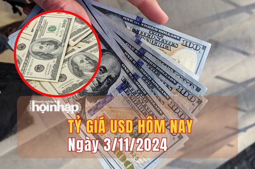 Tỷ giá USD hôm nay 3/11: Đồng USD trong nước giảm tuần 13 đồng, ở mức 24.242 đồng