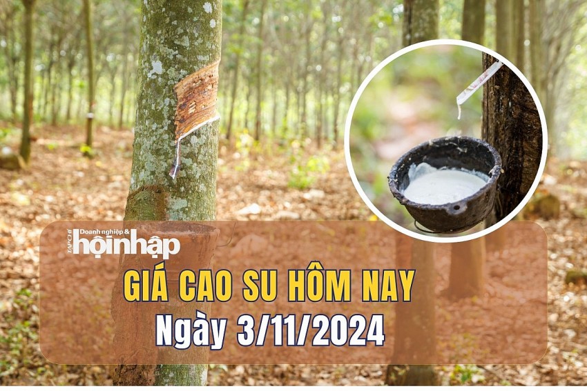 Giá cao su hôm nay 3/11: Giá cao su cuối tuần tiếp tục đi xuống trên các sàn giao dịch