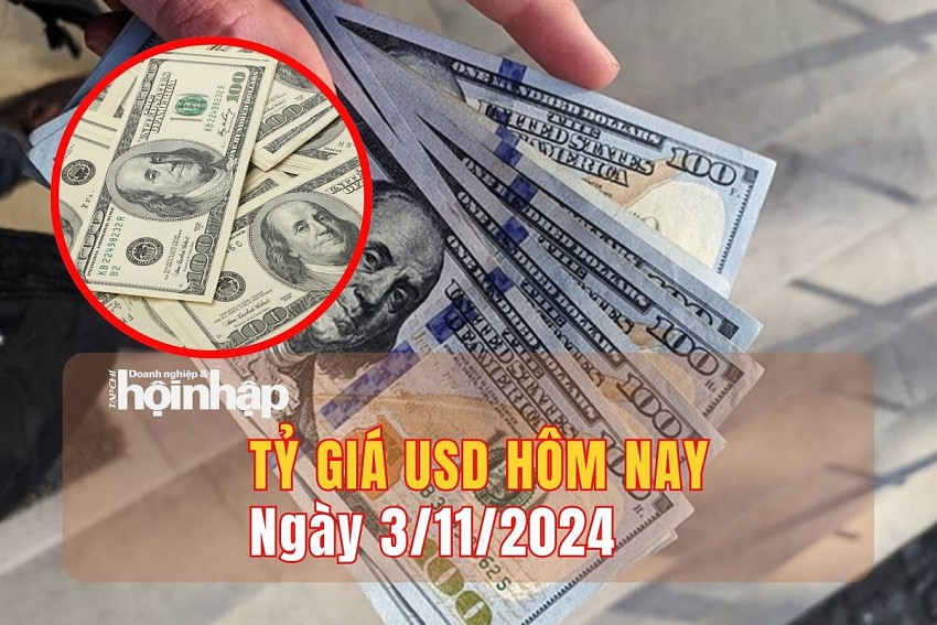 Tỷ giá USD hôm nay 3/11: Đồng USD trong nước giảm tuần 13 đồng, ở mức 24.242 đồng 