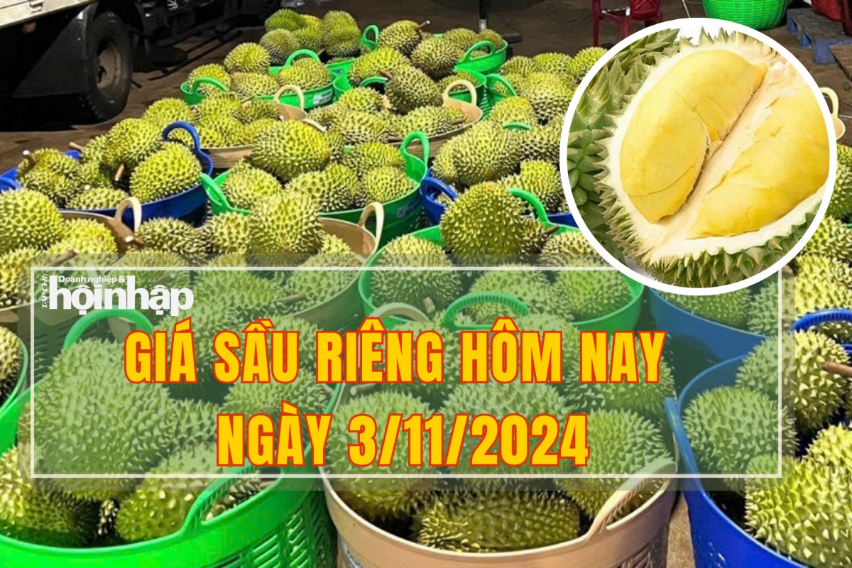 Giá sầu riêng hôm nay 3/11: Sầu riêng Thái đạt kỉ lục mới 175.000 đồng/kg