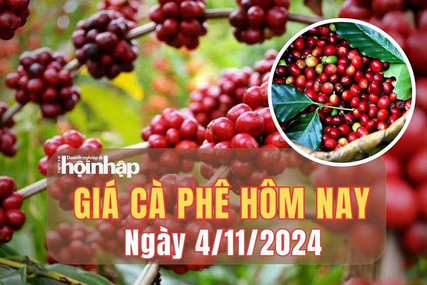 Giá cà phê hôm nay 4/11/2024: