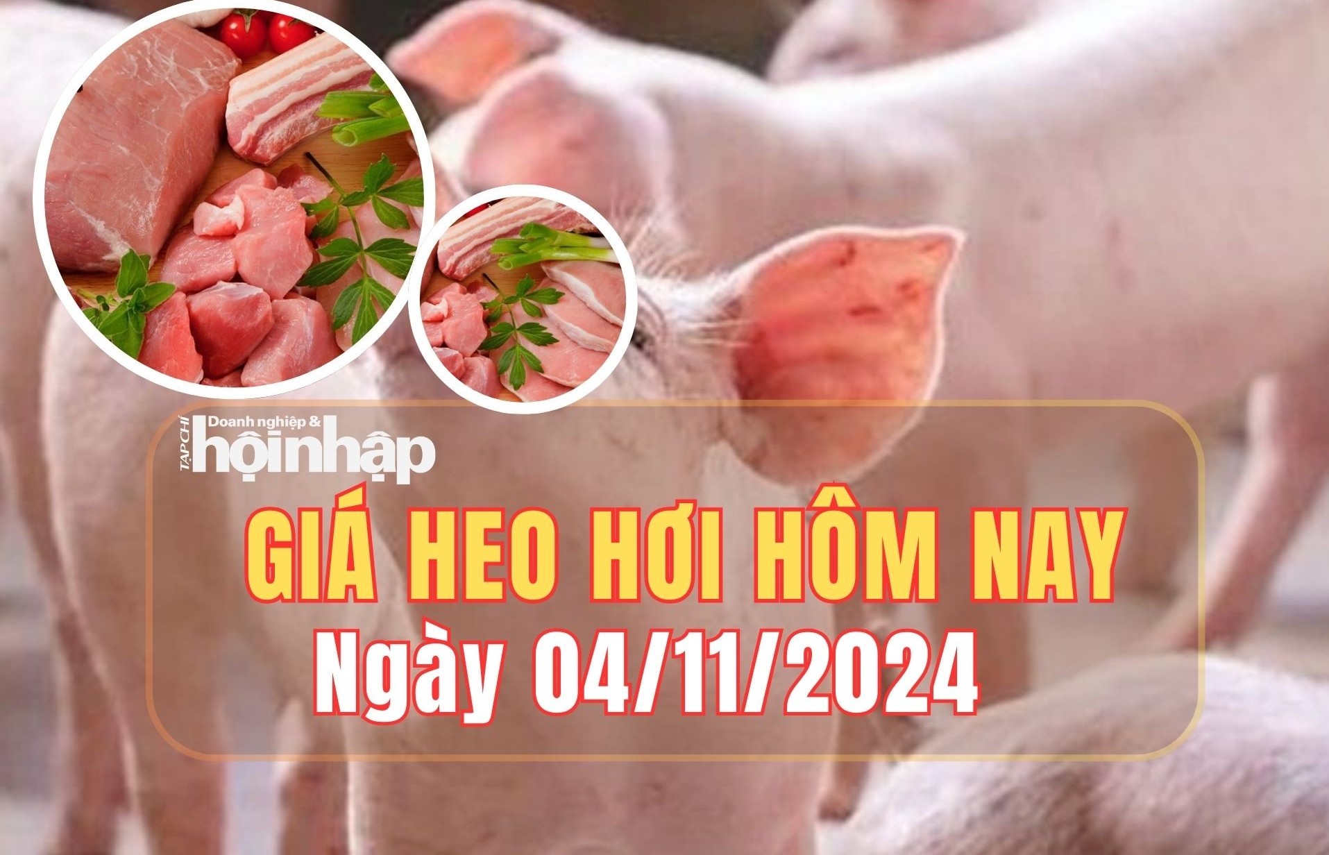 Giá heo hơi hôm nay 4/11/2024: Giá heo hơi tăng 1.000 đồng ở miền Bắc