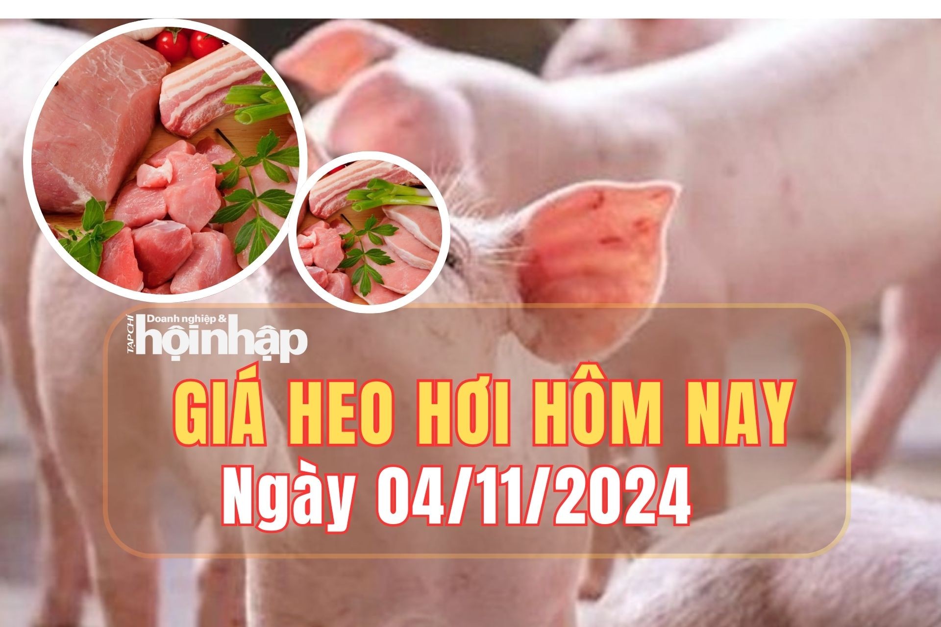 Giá heo hơi hôm nay 4/11/2024: Giá heo hơi tăng 1.000 đồng ở miền Bắc