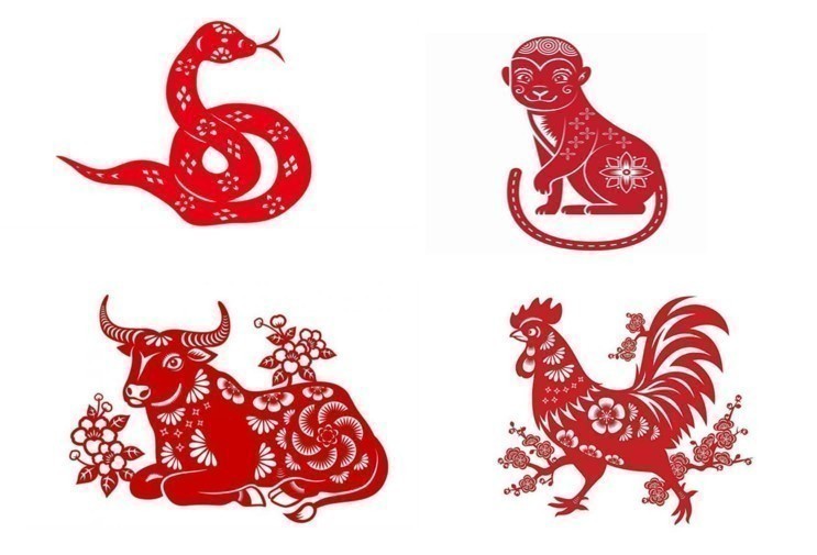 Tử vi - Vận số ngày 07/11/2024: Các tuổi Tỵ, Thân, Sửu, Dậu cần phải cẩn trọng.