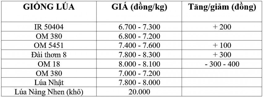 Giá lúa gạo hôm nay 6/11/2024: