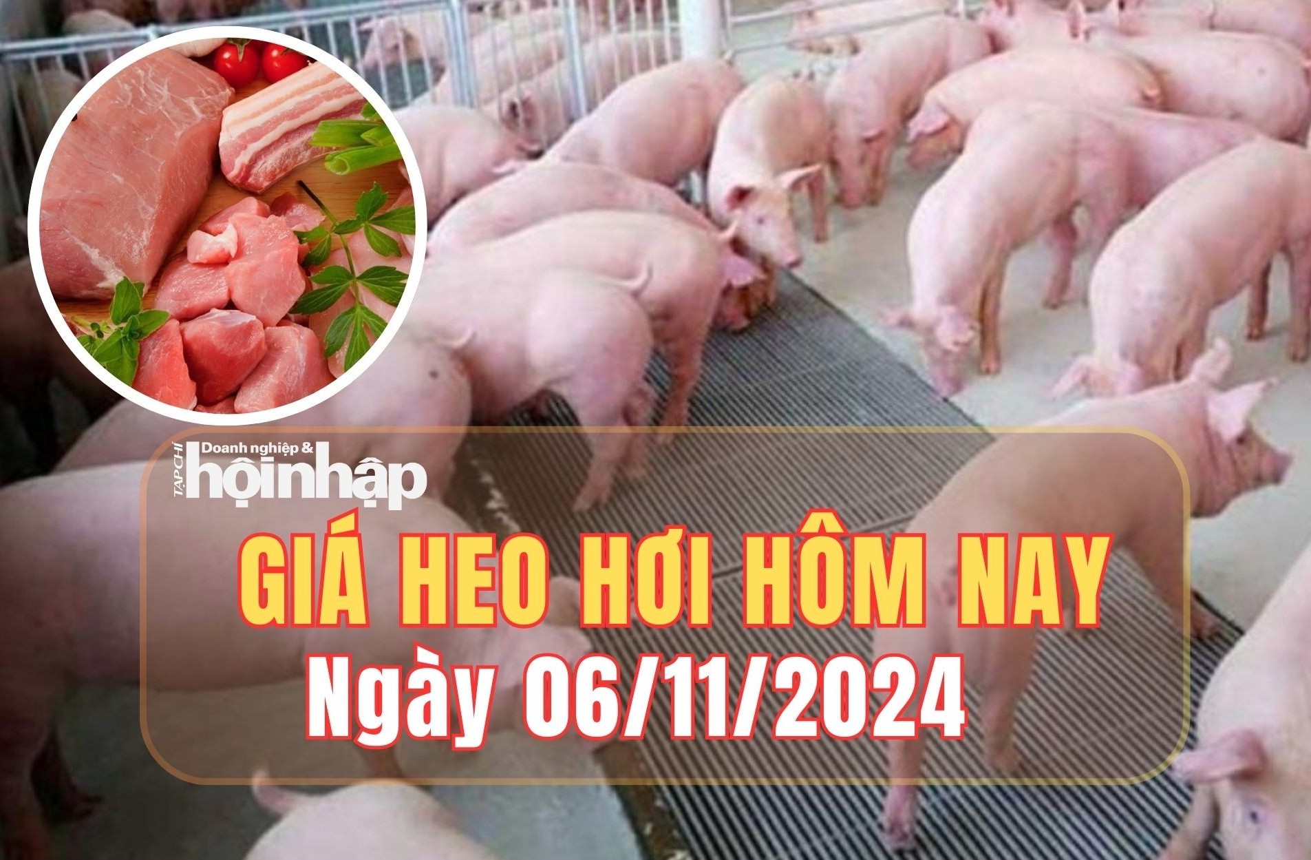 Giá heo hơi hôm nay 6/11/2024: Giá heo hơi tăng - giảm trái chiều tại thị trường miền Nam