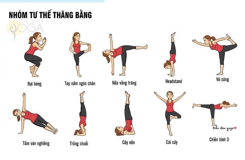 Yoga - Công cụ tái tạo năng lượng cho các nhà lãnh đạo doanh nghiệp