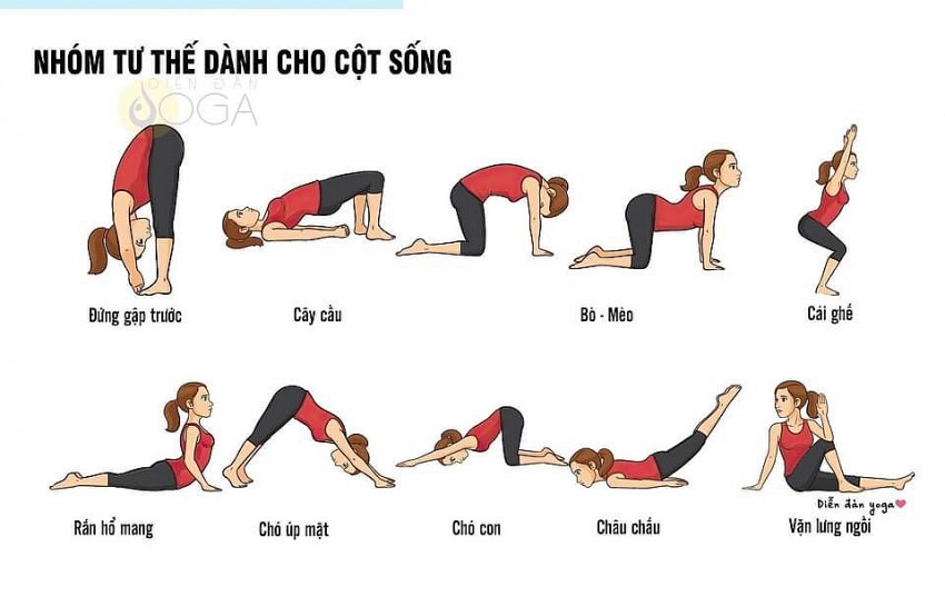 Yoga - Công cụ tái tạo năng lượng cho các nhà lãnh đạo doanh nghiệp